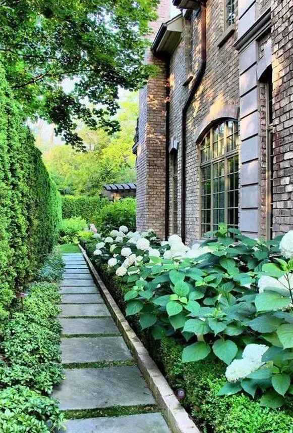 a tasteful side yard with a greenery wall, greenery and hydrangeas, a stone tile path is a lovely and elegant space