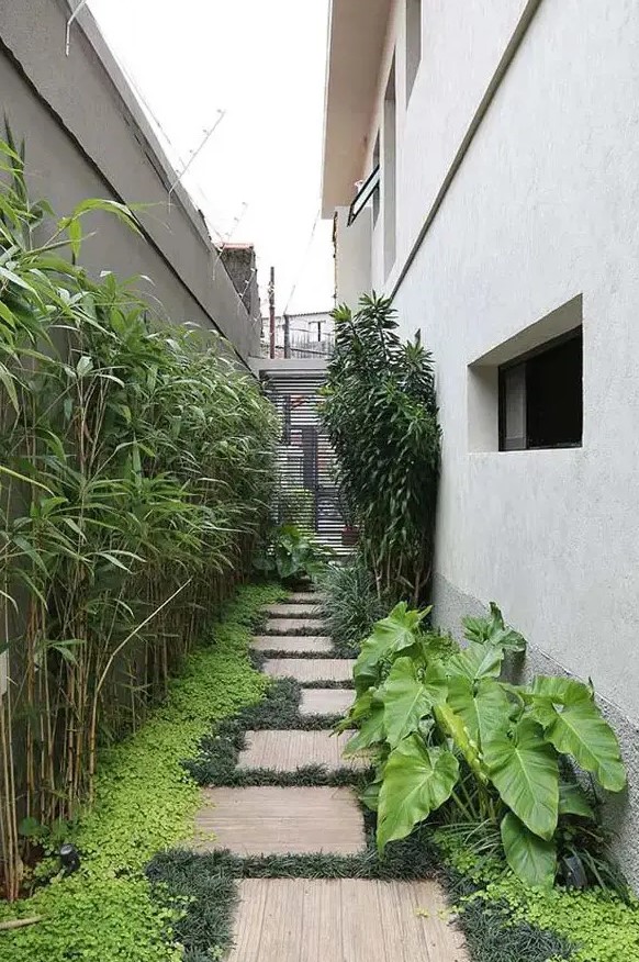 a tropical-inspired side yard with pavers and greenery, bamboo and greenery is a chic and fresh modern idea