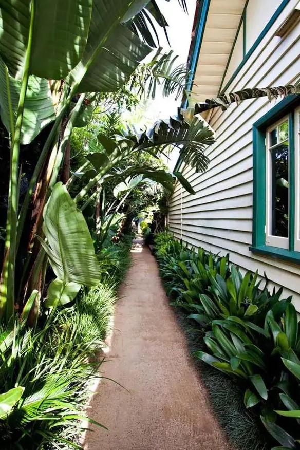 a tropical side yard with a lot of lush greenery and tropical plants is vibrant, lively and welcoming