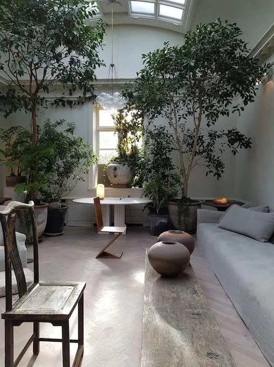 an earthy living room with skylights and grey walls, a low grey sofa, some vintage and modern furniture and potted plants