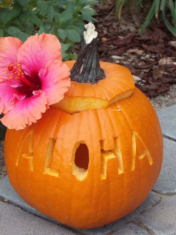 a tropical Halloween lantern with a bold bloom and letters is a lovely idea for simple and cute Halloween decor
