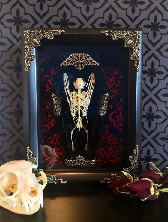 a refined Halloween art piece   a bat skeleton in a coffin and in a refined frame is great for Halloween decor
