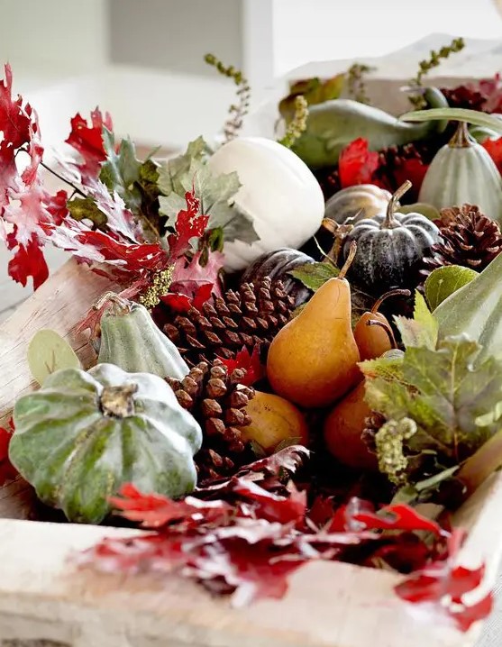 a lovely natural decoration of a white wooden bowl with red leaves, pumpkins, pinecones and gourds looks very autumnal