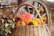 41 a basket with colorful pumpkins and pinecones is a perfect idea for indoor and outdoor decor