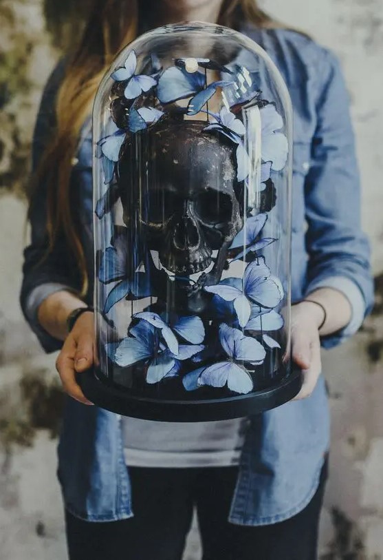 a Halloween cloche with a black human skull and blue butterflies is amazing for party decor