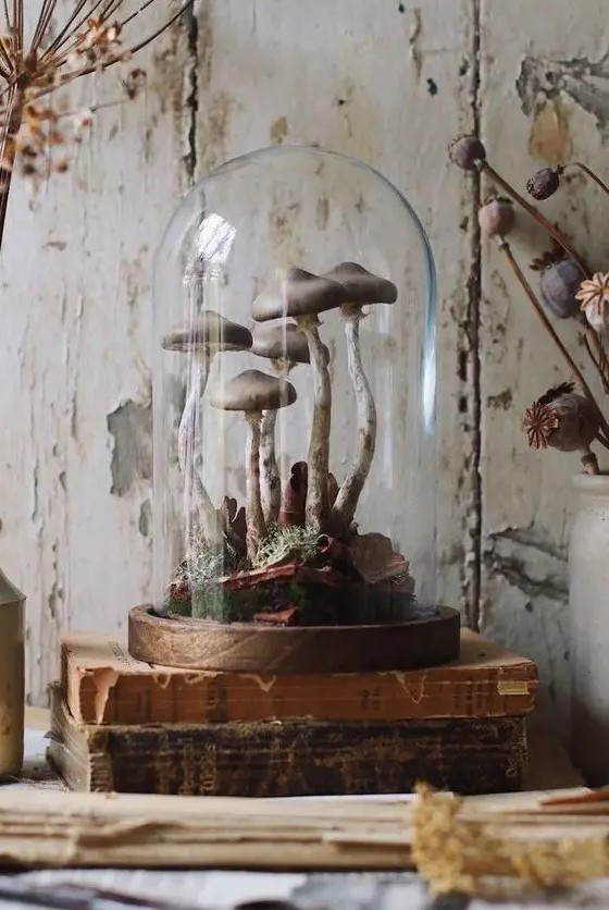 a Halloween cloche with moss and bark plus some poisoned mushrooms is a great idea for a vintage space