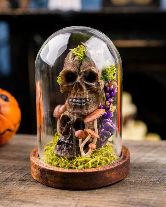 a Halloween cloche with moss, faux skulls, mushrooms and bold blooms is a cool and creative idea for decor