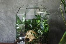 a beautiful vintage Halloween terrarium with greenery and a part of a skull is a cool decoration to make