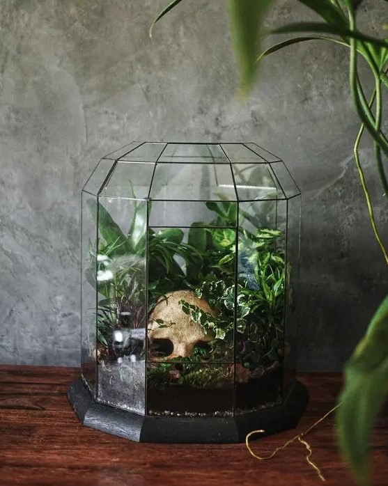 a beautiful vintage Halloween terrarium with greenery and a part of a skull is a cool decoration to make