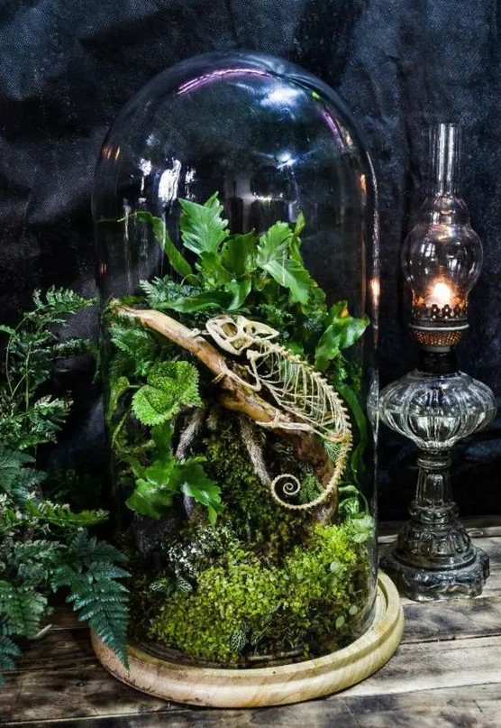a catchy Halloween terrarium with moss, greenery and a skeleton of a chameleon is a creative and elegant solution