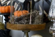 a cloche with moss, a pumpkin, a blackbird is a cool decoration for a Halloween mantel or an entryway console