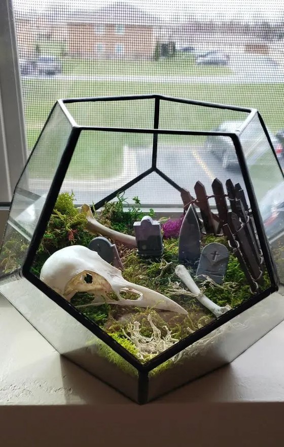 a faceted Halloween terrarium with moss, bones, tombstones, a bird skull is a cool and stylish decoration