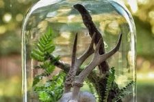 a large jar with moss, fern, branches and a skull with antlers is a cool and bold idea for woodland Halloween decor