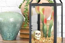 a quick and cool Halloween terrarium with pebbles, a skull and scary plants is a lovely solution to stand out
