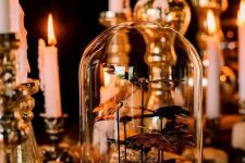 a refined Halloween cloche decorated with moss and some dark butterflies is a gorgeous idea for a vintage or vampire-inspired party