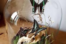 a refined Halloween terrarium with moss, branches, a skull and black and green butterflies and some twigs