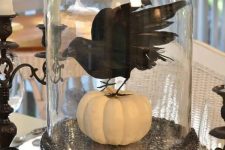 a simple and stylish Halloween decoration of a cloche with a white pumpkin and a blackbird on top is a cool and bold idea