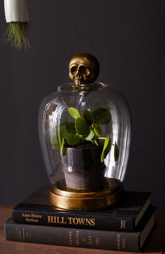a stylish Halloween decoration of a potted plant and a brass skull on top is a great idea and you can easily make it