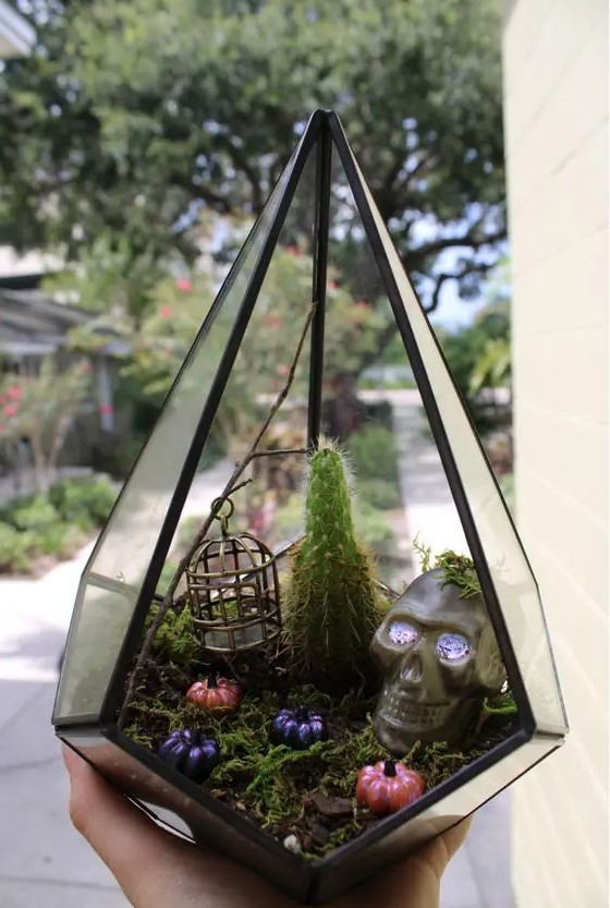 a stylish Halloween terrarium with moss, mini pumpkins, a cactus, a cage and a skull is a fun and cool idea to rock