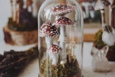 a terrarium with toadstools will be a nice Halloween decoration, and you may use it afterwards