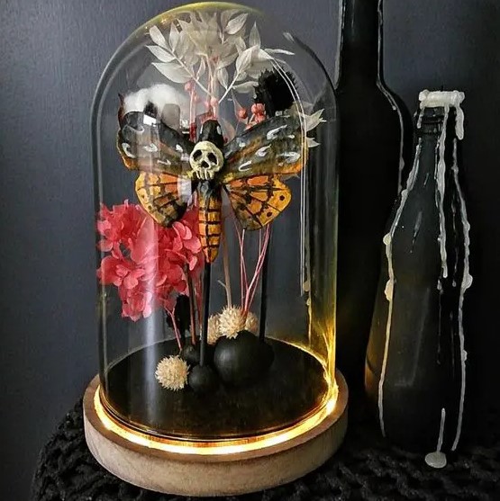 a unique Halloween cloche with lights, a skull butterfly, some dried blooms is very unusual party decor