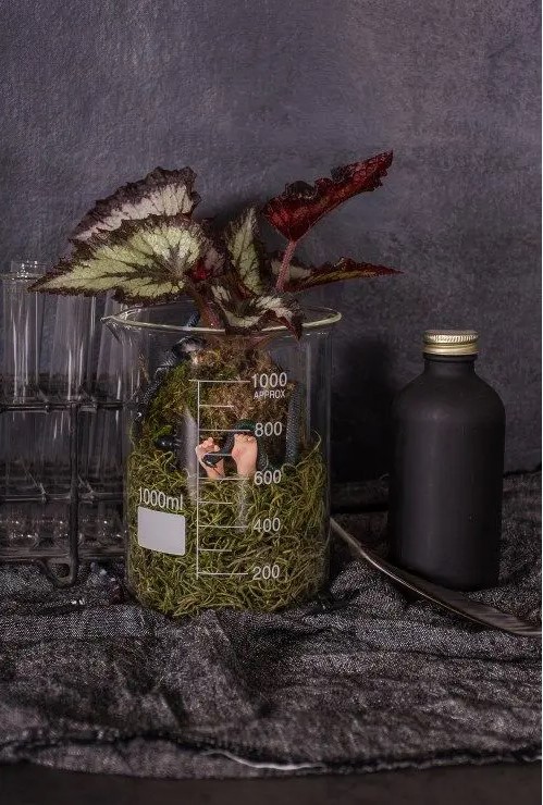 an easy and fun Halloween terrarium with moss, a dead body and a kokedama over it is a creative solution