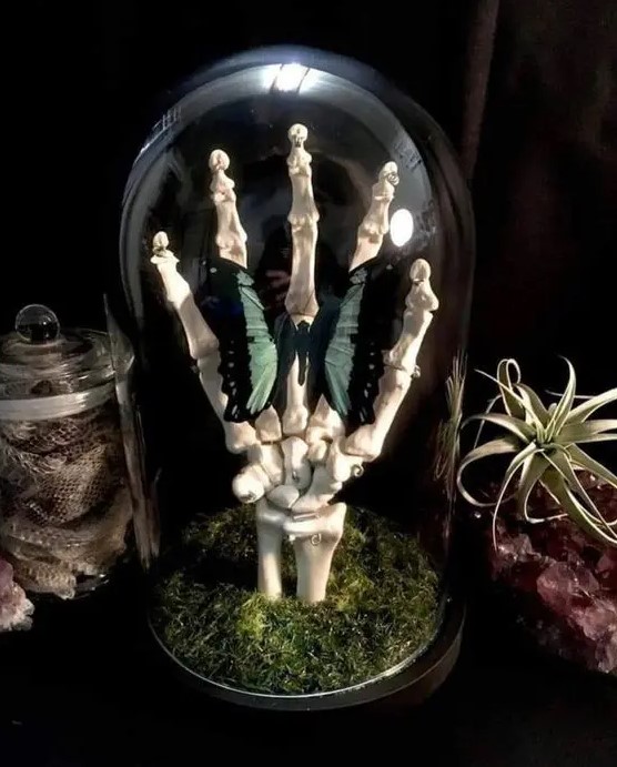 an elegant Halloween cloche with moss, a skeleton hand and a bold butterfly is amazing for decorating your space