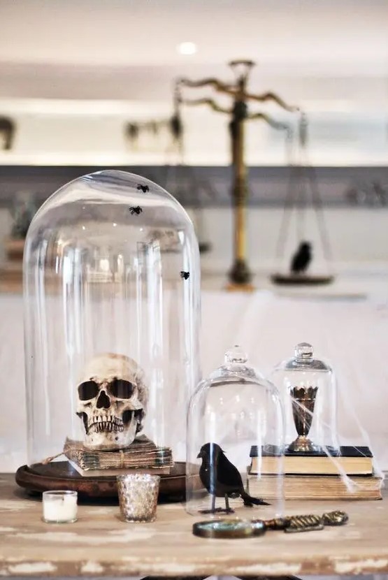 cloches with a skull, a blackbird and a goblet plus some spiderweb are great for Halloween decor