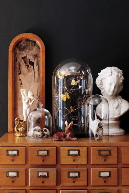 cloches with skulls, butterflues and lights are great to style your space for Halloween