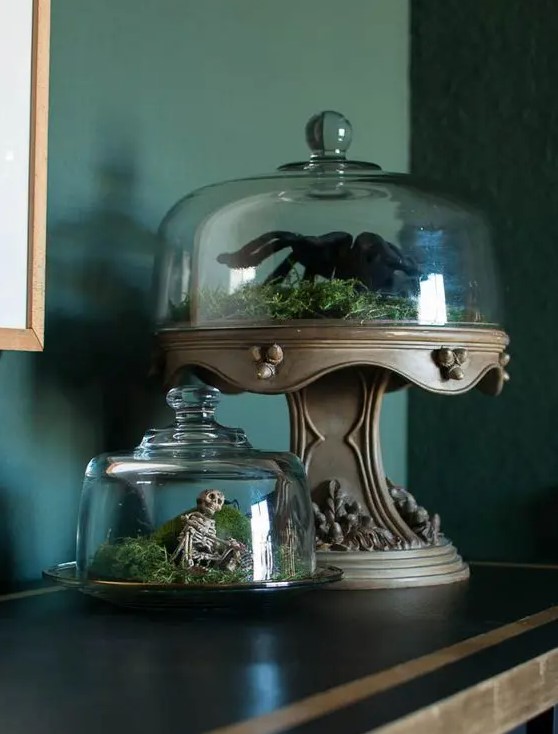 last-minute Halloween terrariums with moss, a skeleton and a large spider are great for Halloween decor