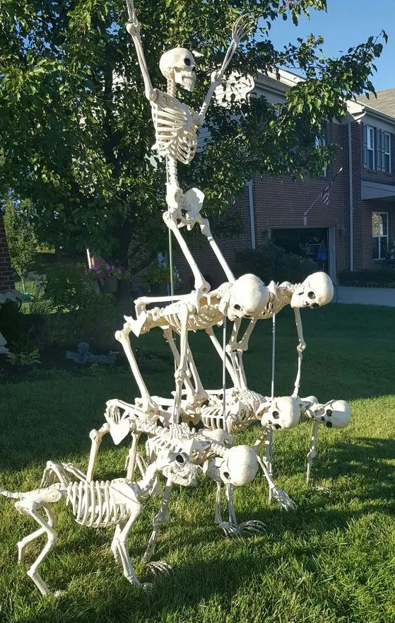 a creative and fun skeleton scene with usual and dog skeletons is a lovely idea for your Halloween front yard