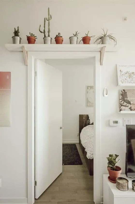 a simple open shelf attached over the doorway features potted plants and succulents is a very cool idea to rock