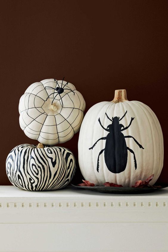 black and white pumpkins decorated for Halloween with a black sharpie, with a bug, some pattern and spiders are awesome
