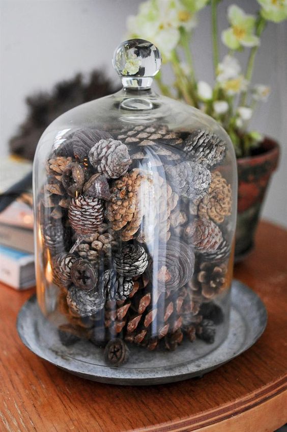 a natural Christmas centerpiece of a cloche with various pinecones is a lovely idea, and you can make it ina  minute