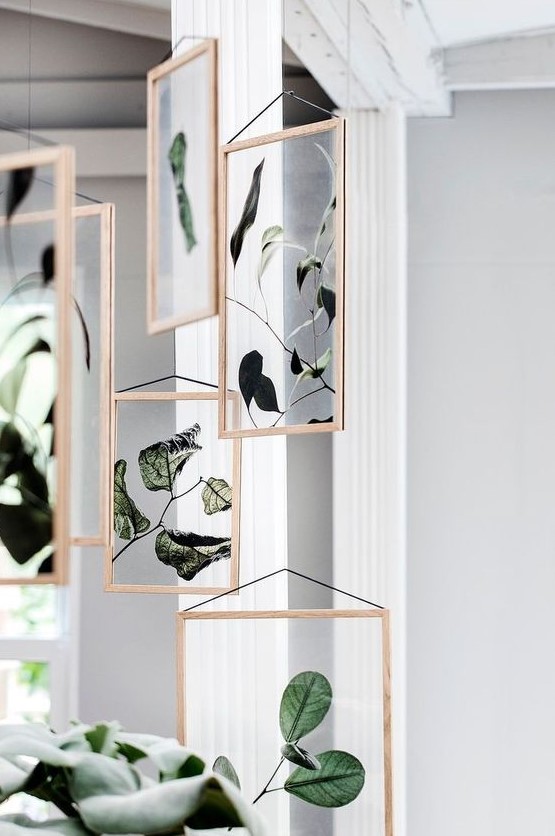 framed greenery and foliage in wooden framed hanging here and there for a natural touch to the space