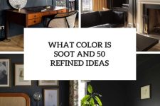 What Color Is Soot And 50 Refined Ideas cover