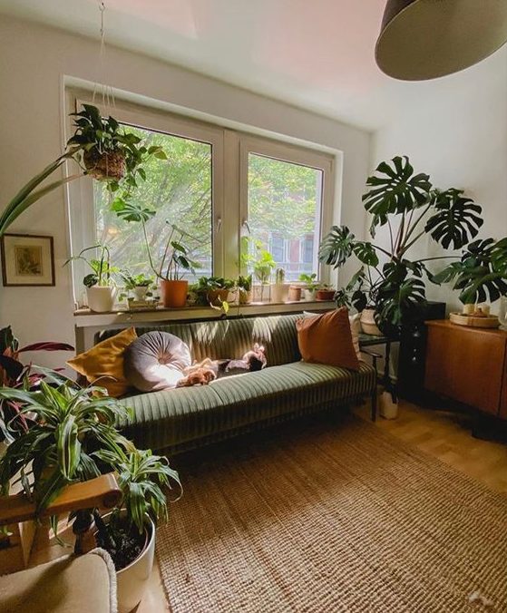 a pretty mid-century modern living room with a green sofa and pillows, stained furniture, a rug, lots of potted plats
