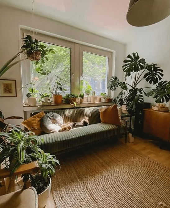 a pretty mid-century modern living room with a green sofa and pillows, stained furniture, a rug, lots of potted plats
