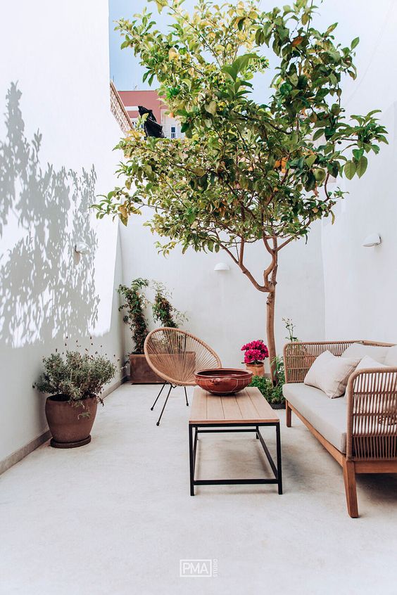 a small neutral patio with rattan furniture, a coffee table, a tree and potted plants and blooms is amazing and fresh