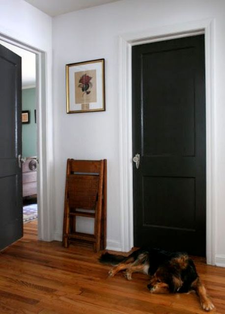 such glossy black doors are sure to make your interior more sophisticated and beautiful, they bring drama and contrast