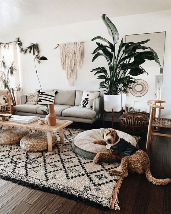 a boho living room with a grey sofa and printed textiles, modern furniture, a macrame hanging and some statement plants