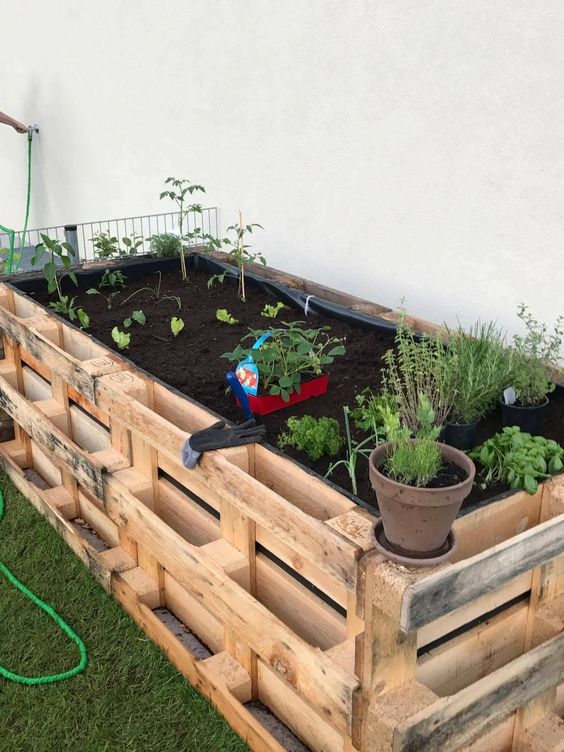 a cool raised garden built of pallets is a great solution for veggies, herbs and other stuff, and it's comfy to work on it