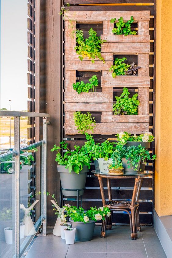 a creative and stylish vertical garden built of pallets, with fresh herbs, is a cool piece to hang on the wall in a balcony or a garden