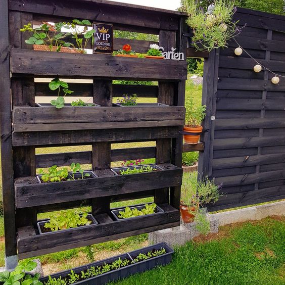 A dark stained pallet garden holding planters with greenery is attached to the wall to save some floor space