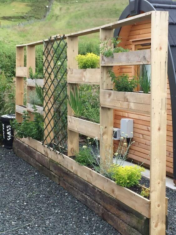 a large vertical garden built of pallets, with greenery and blooms planted and a trellis part for some vines in future is impressive