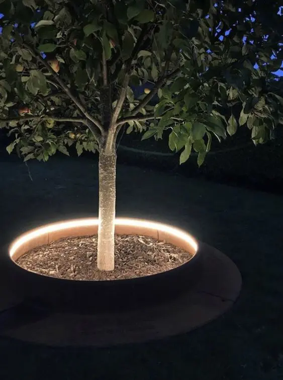 a lit up planter with a tree is a cool and laconic idea to light up the space and illuminate the tree