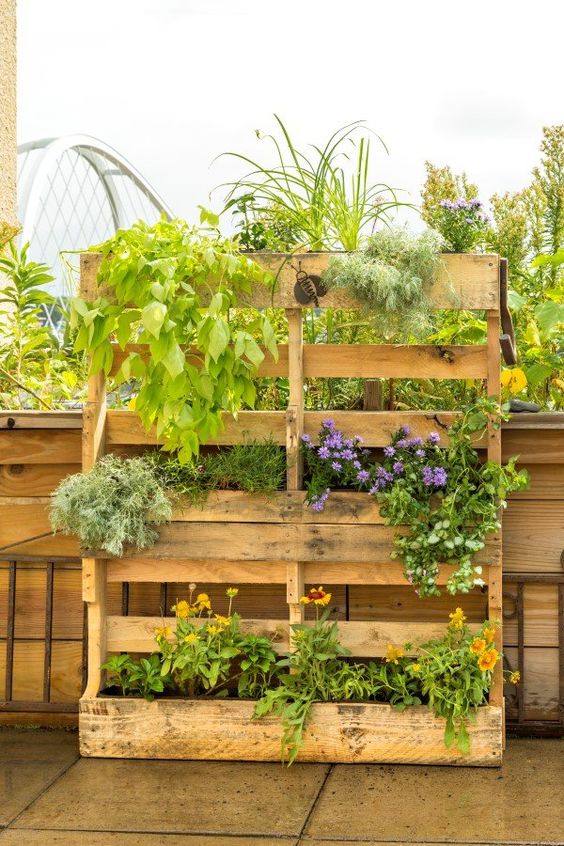 a pallet garden with blooms and greenery planted in is a cool decoration for a rustic space, and you can DIY it