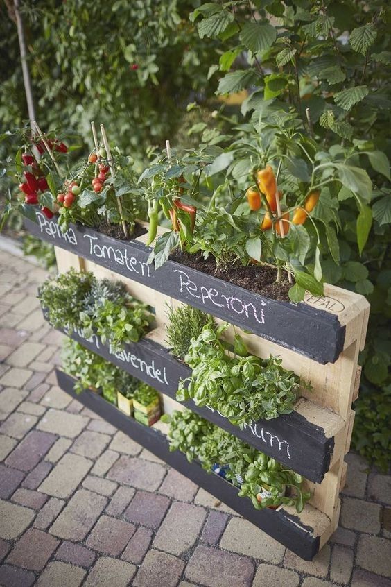 a pallet garden with chalkboard touches and some veggies and herbs is a cool decoration for a rustic space, it looks cool