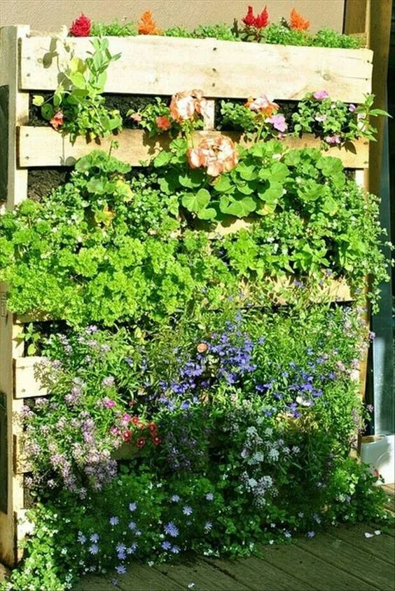 a pallet garden with lots of greenery and blooms is a nice idea for a rustic space, it can be vertical or usual