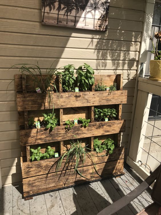a reclaimed pallet garden with various plants will refresh any outdoor space and make it cooler and more welcoming